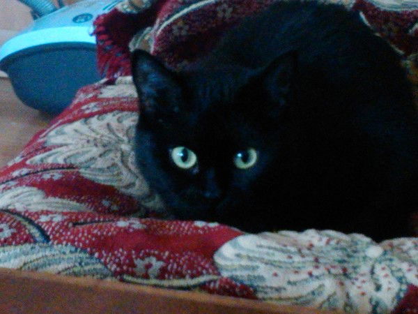 Оксана Зейналова