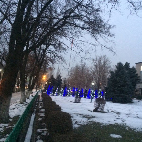 Кыял Чиргаева