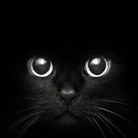 Яна Челпанова