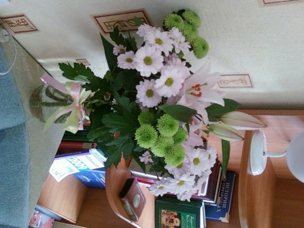 Наталья Францевич