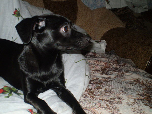 Зоя Серпуховитина