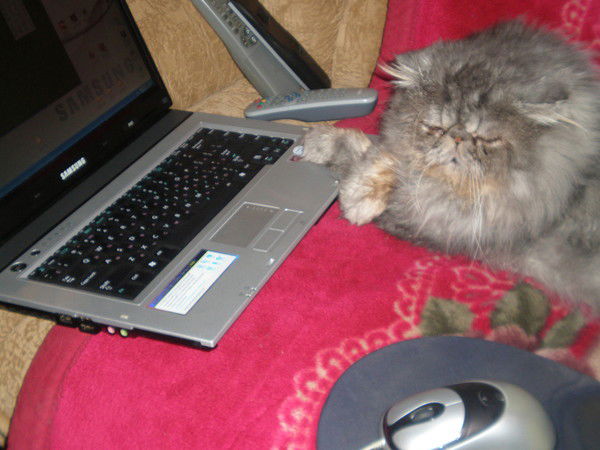 Наиль Ильясов