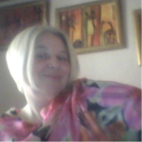 Света Норко