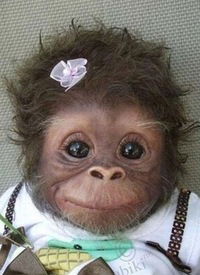 Анастасия Кочкина