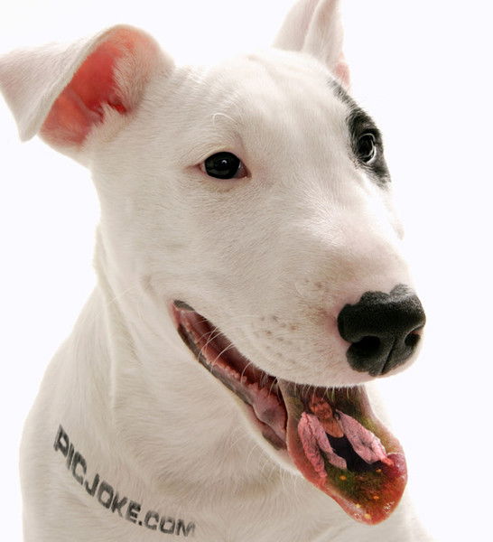 Лена Речицкая