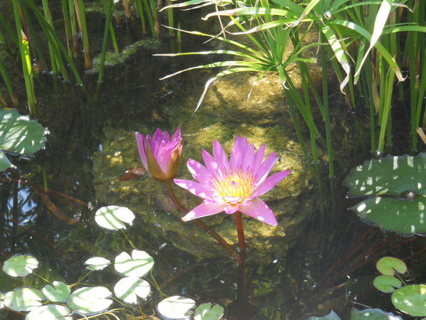 Зухра Эргашева