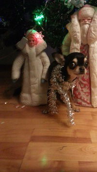 Ульфина Бадикова