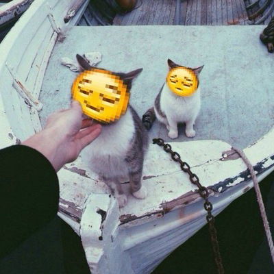 Ирина Шишкина