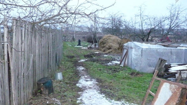 Дмитрий Михайлович