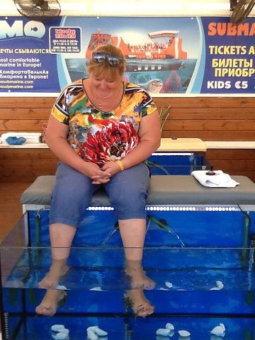 Лариса Андреева