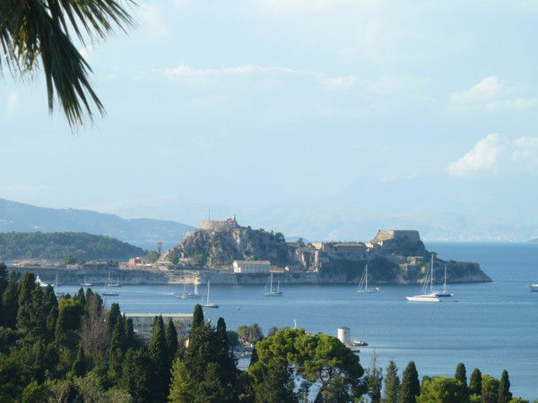 Максойл Максойл