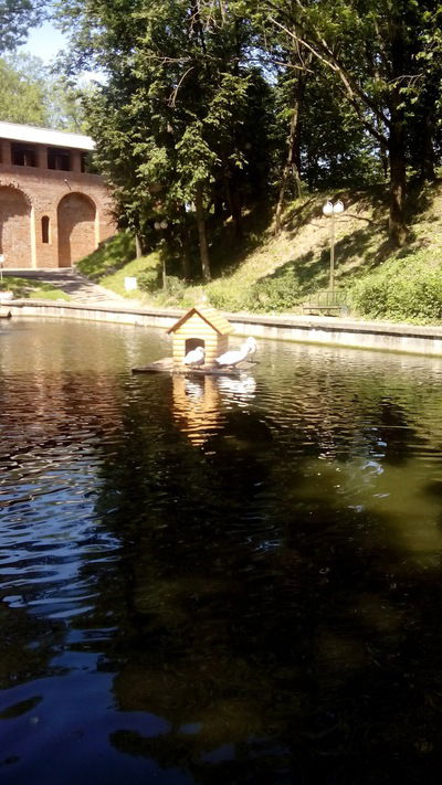 Виктор Миронов