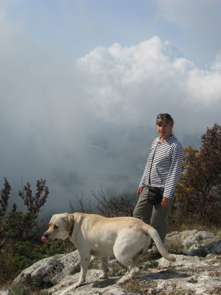 Ирина Висич