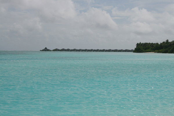 Инна Варавина