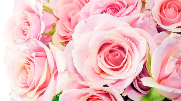 Асель Амангулова