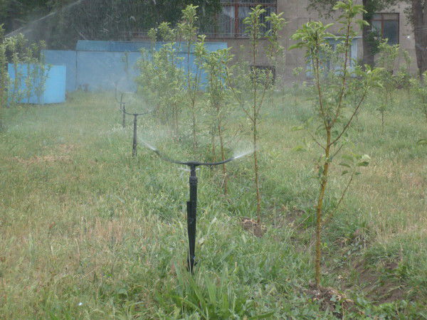 Казахский Нии Водного Хозяйства