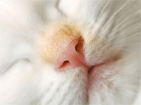 Оксана Дубовик