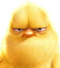 Костя Шестак