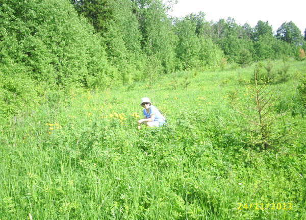 Ольга Ермакова