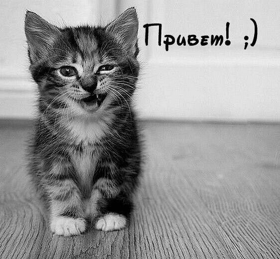 Avtomir Novosibirskk