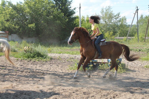 Софи Аронова