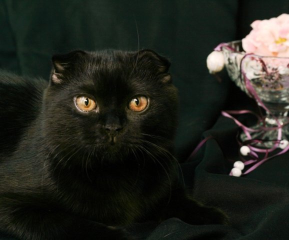 Светлана Хлусова