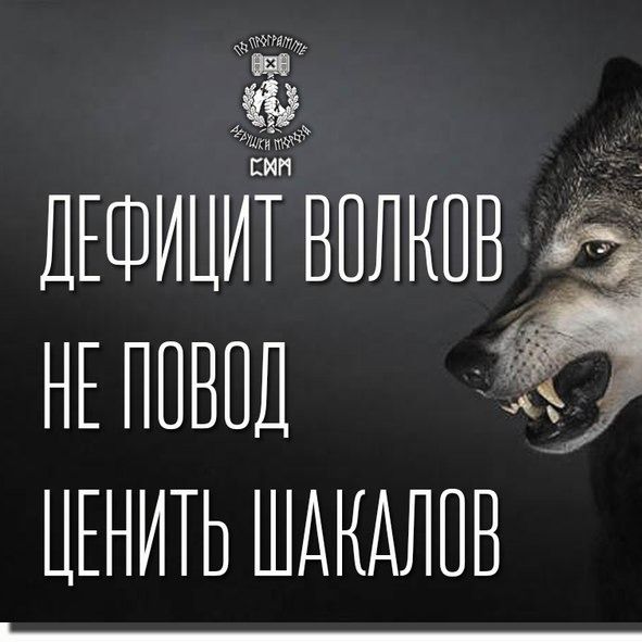 Инна Журавлева Videoinna