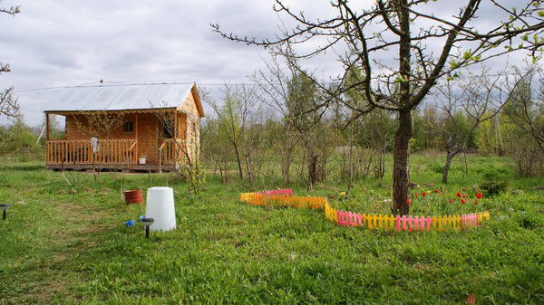 Альбина Северина