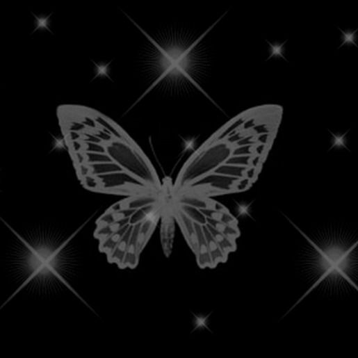 Николетта Лерон