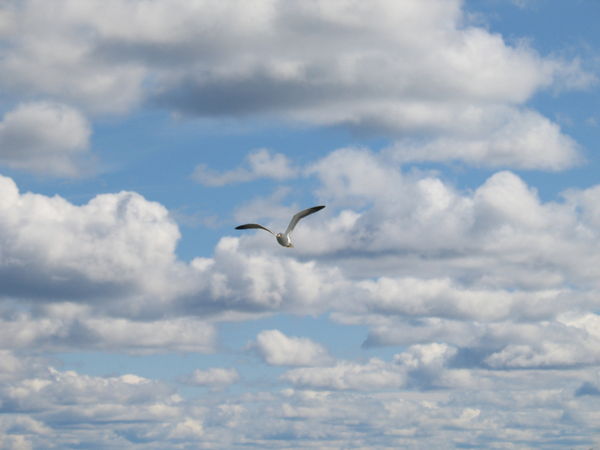 Татьяна Труднева