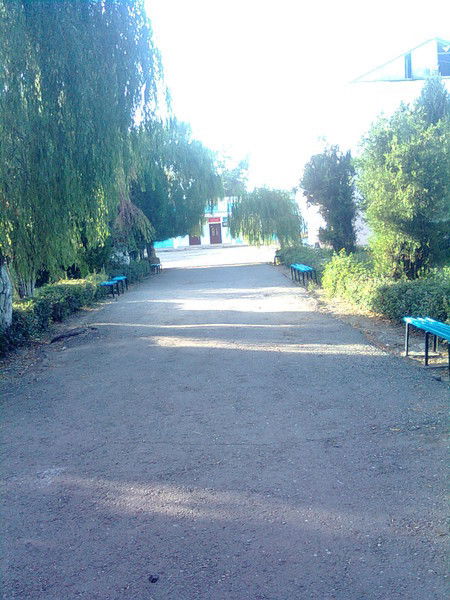 Forward . .talaibekova