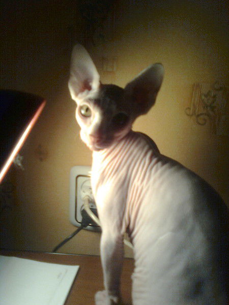 Юлия Ковтунович