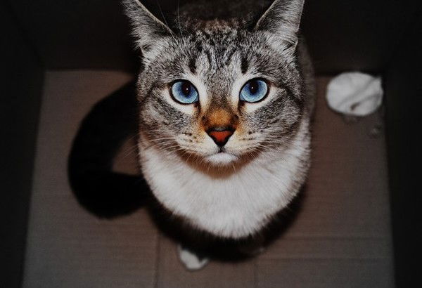 Виктория Фёдорова