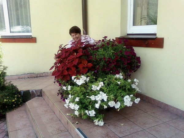 Людмила Стрельникова