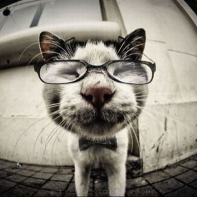 Андрей Пряморуков