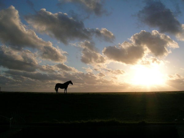 Ольга Жукова