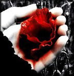 Роман Жуков