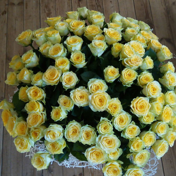 Наталия Ермакова