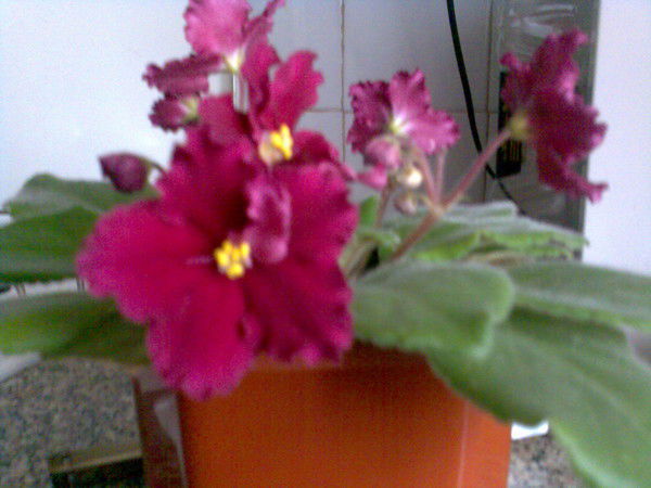 Владимир Кузьмич Охотницкий