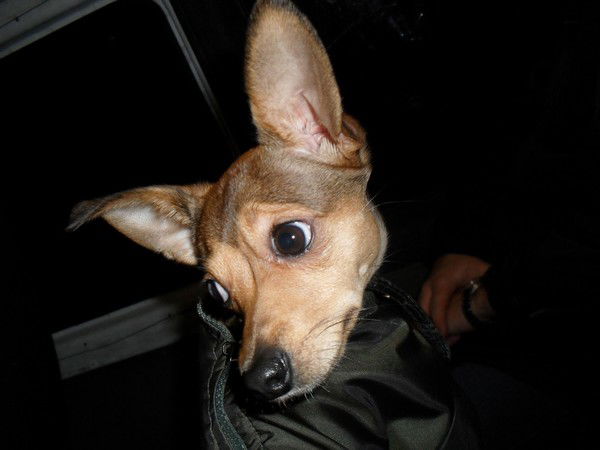 Ирина Митякина