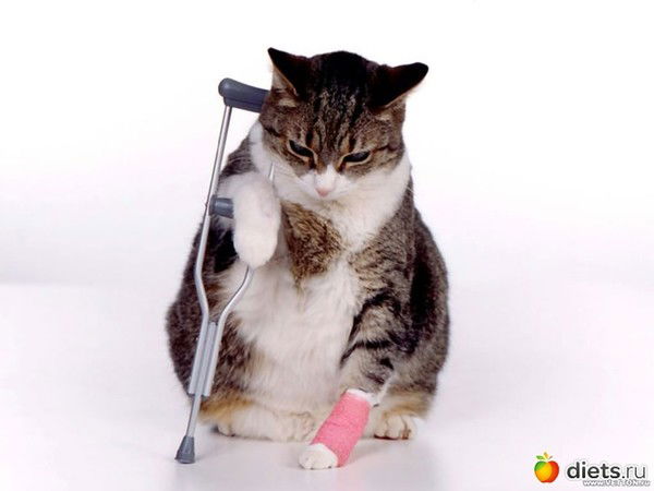 Ramzan РУССКИЙ