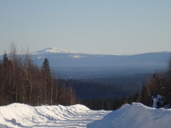 Любовь Белина