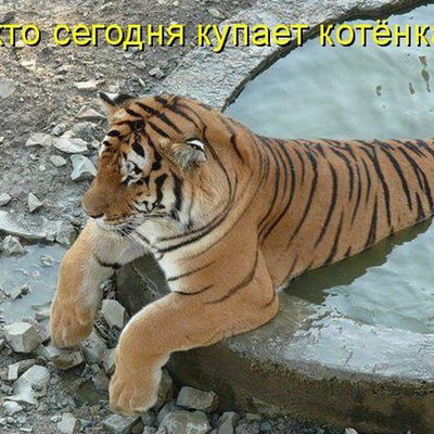 Евгений Борзенко