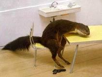 Вероника Долгова