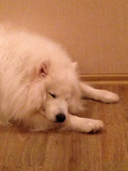 Пенелопа Baech