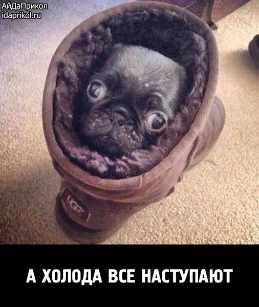 Нет И Небыло