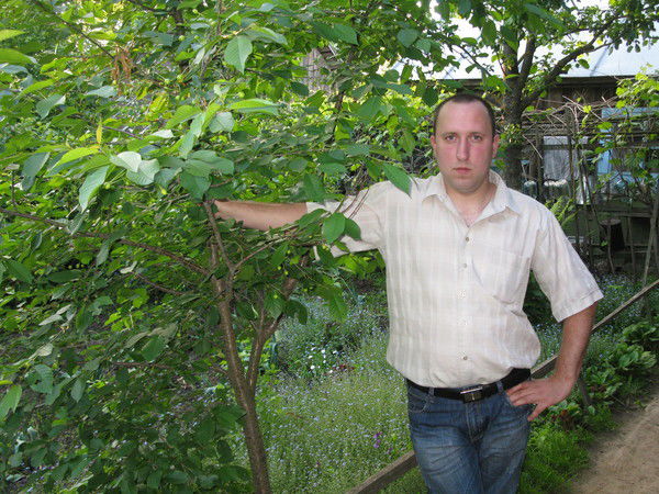 Павел Писарчик