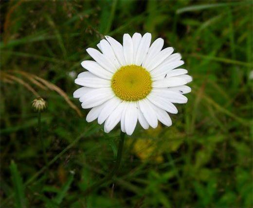 Зош № 30 Г. Мариуполь