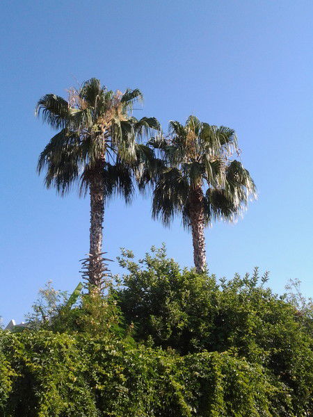 Ольга Грушецкая