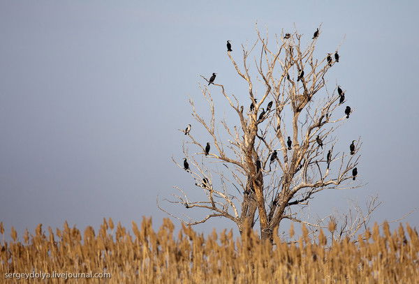 Борис Иванов
